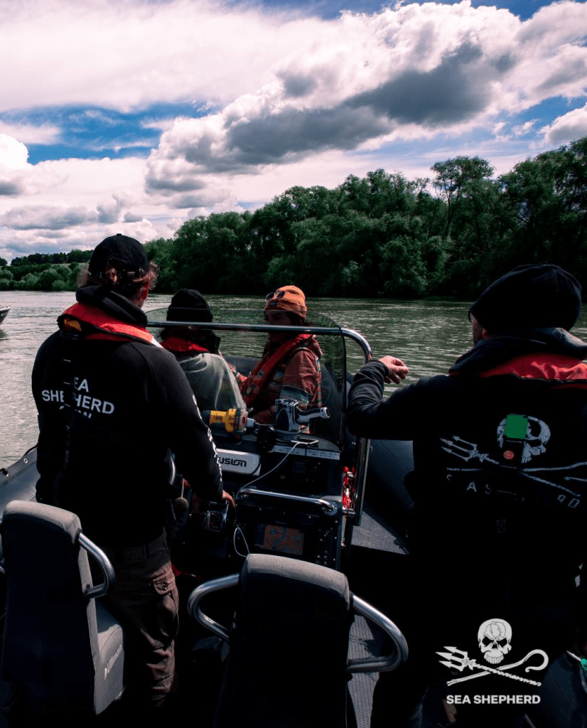 sea shepherd france lettre demission