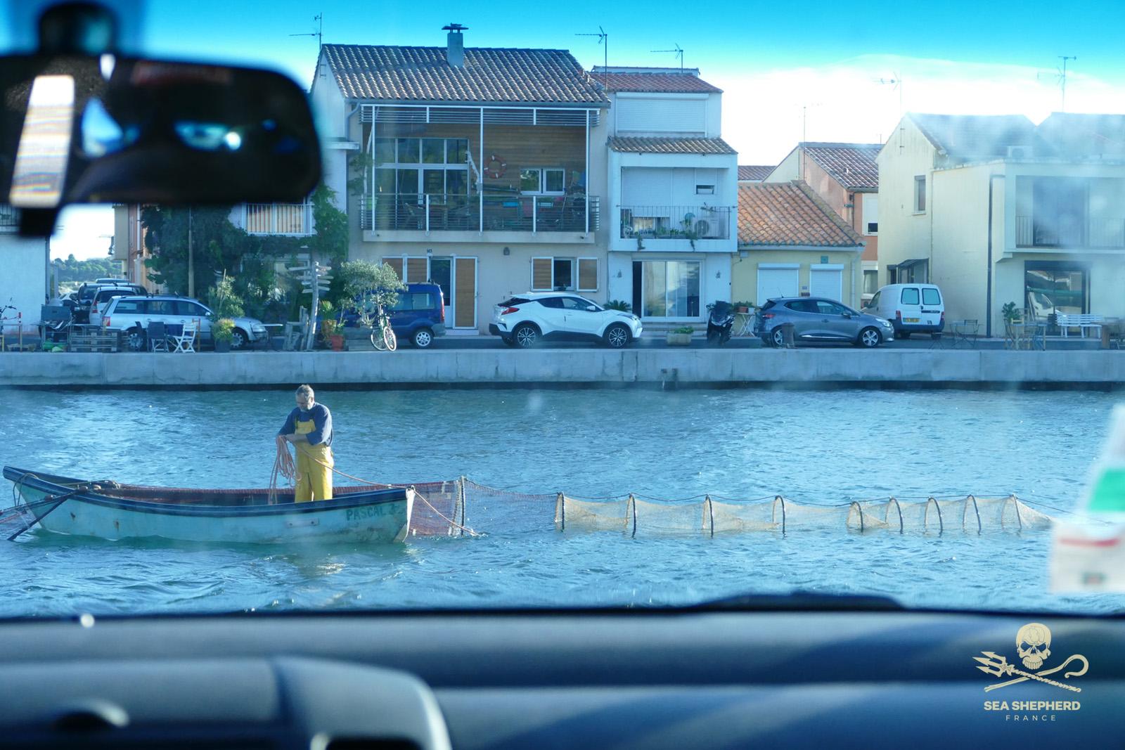 paul watson demission sea shepherd