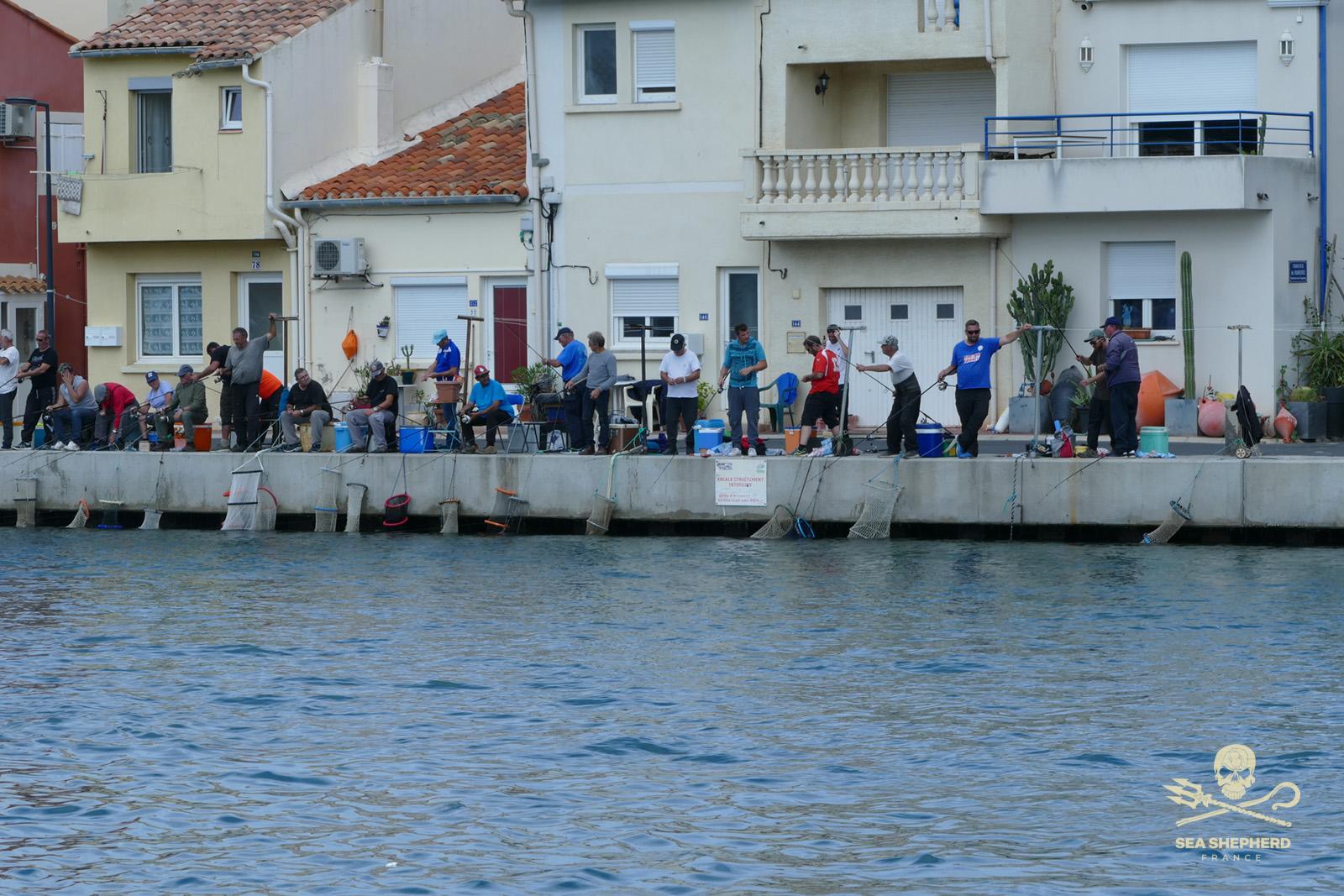 paul watson demission sea shepherd