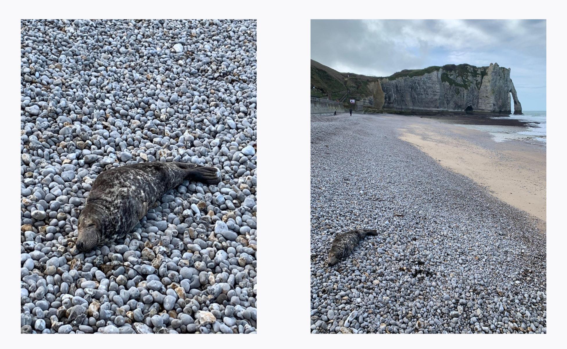 Photos du signalement envoyées par nos sympathisants le 30/01/2023