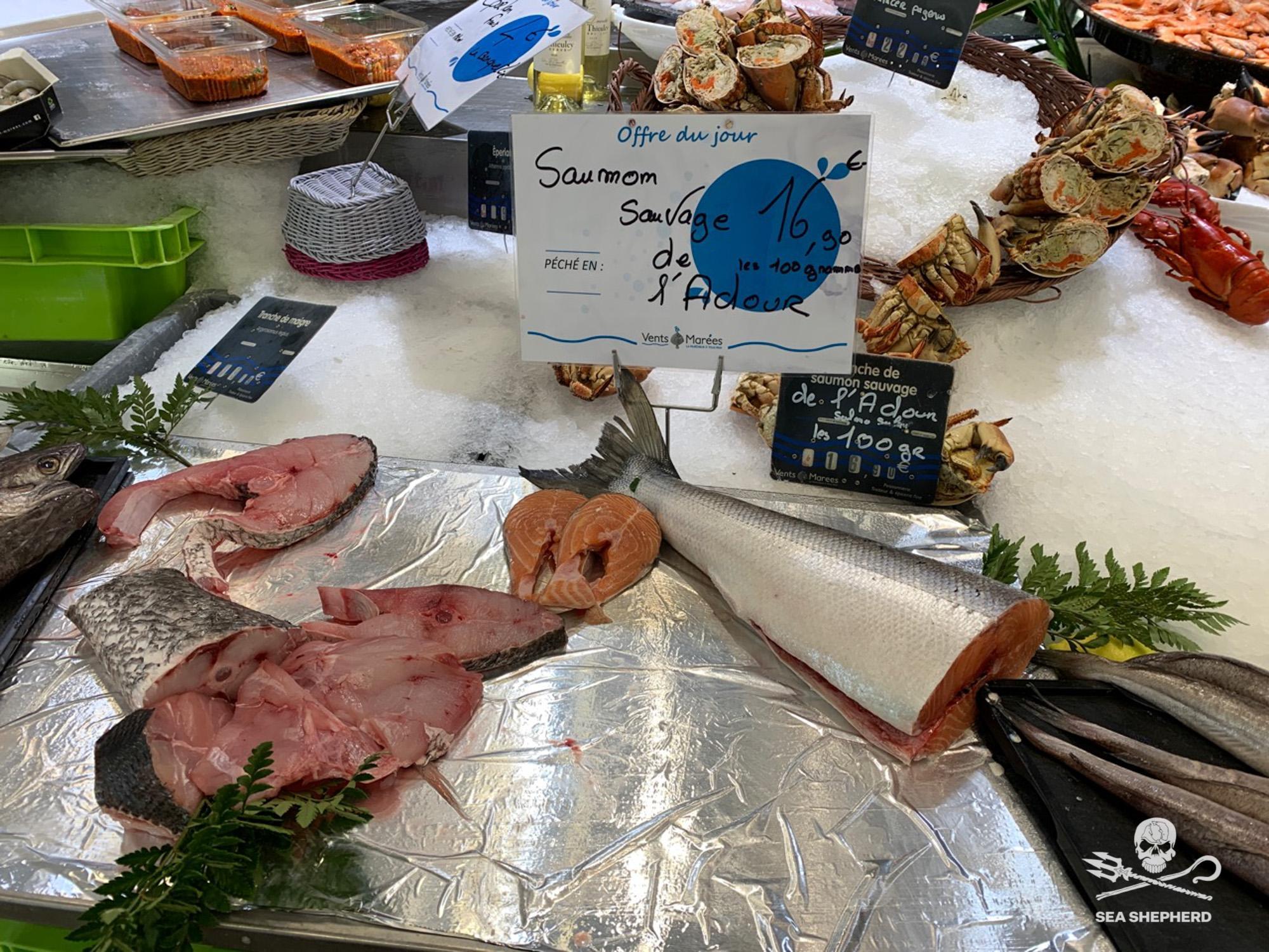 Poissons sur une étale de poissonier