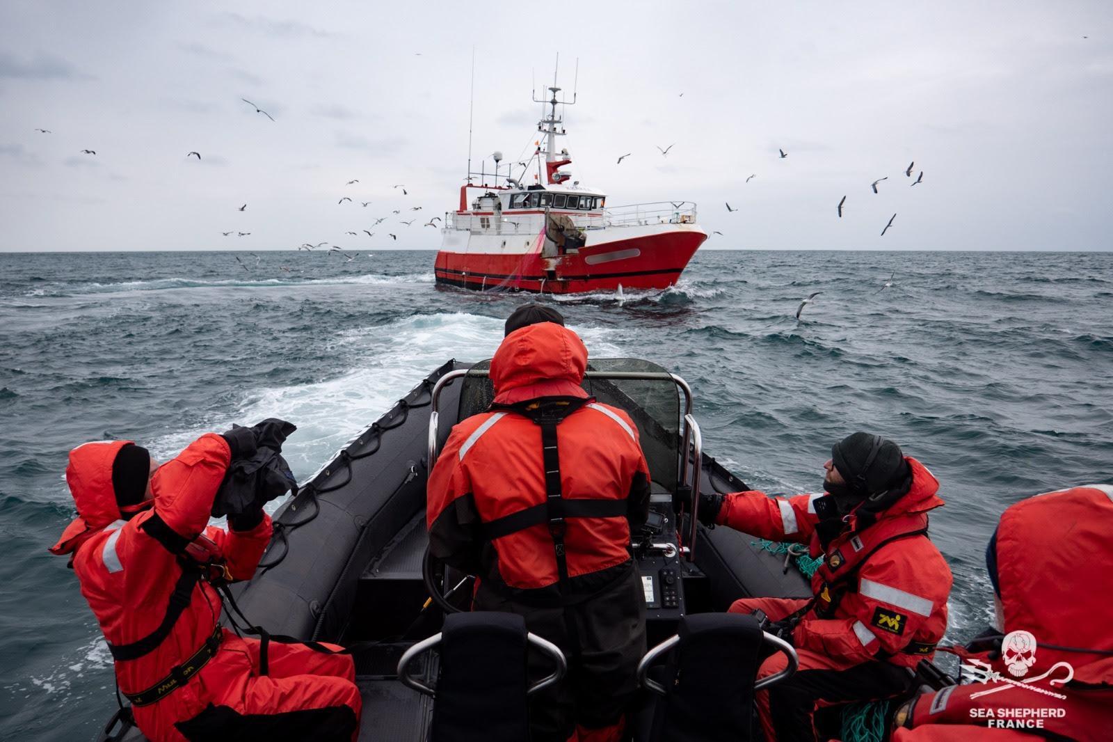 dbc-observation-releves-de-filets