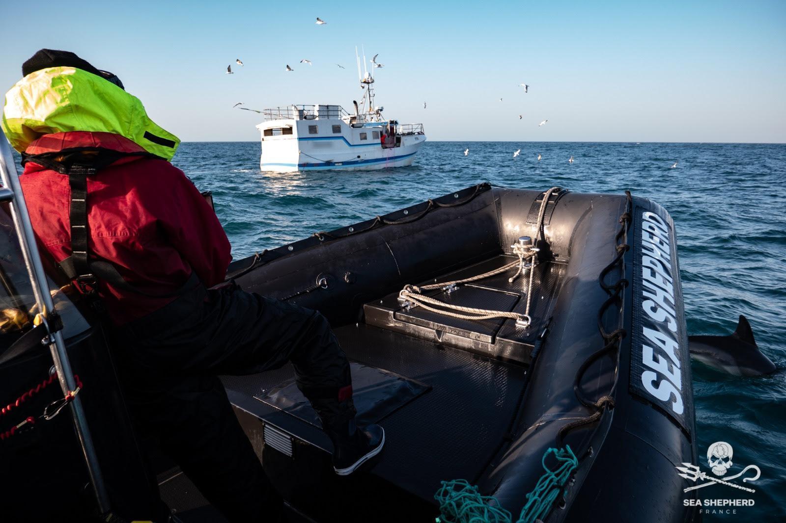 dbc-releves-de-filets