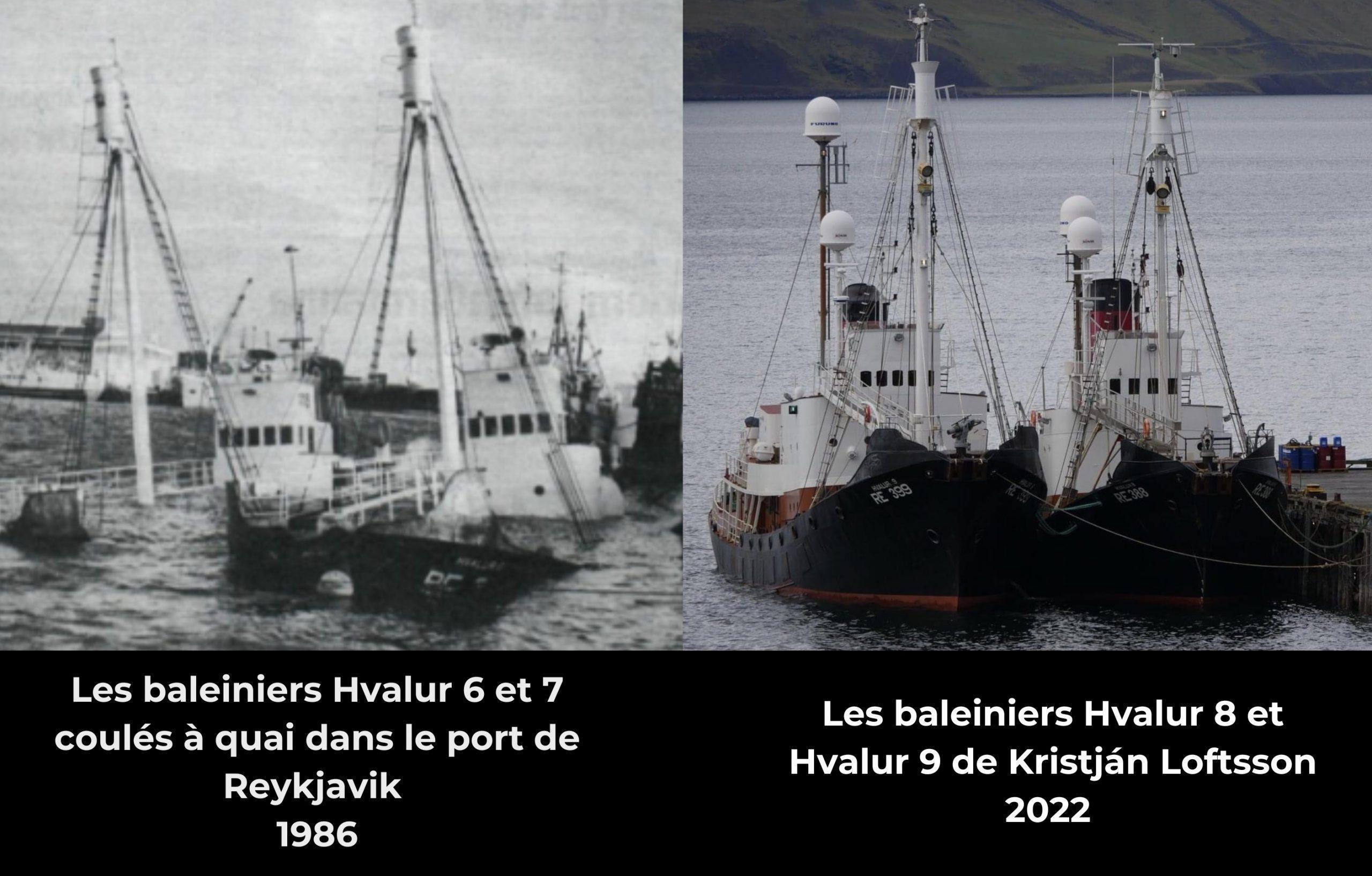 islande chasse à la baleine baleiniers