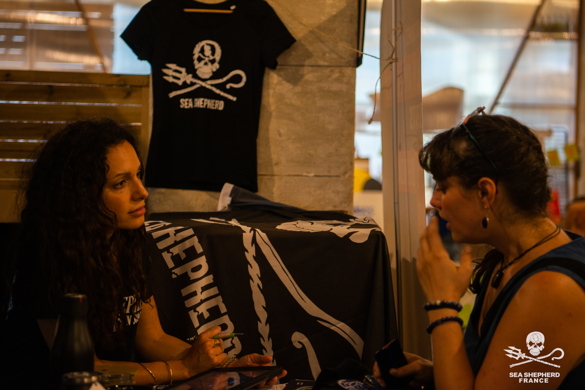 Darwin Climax Festival