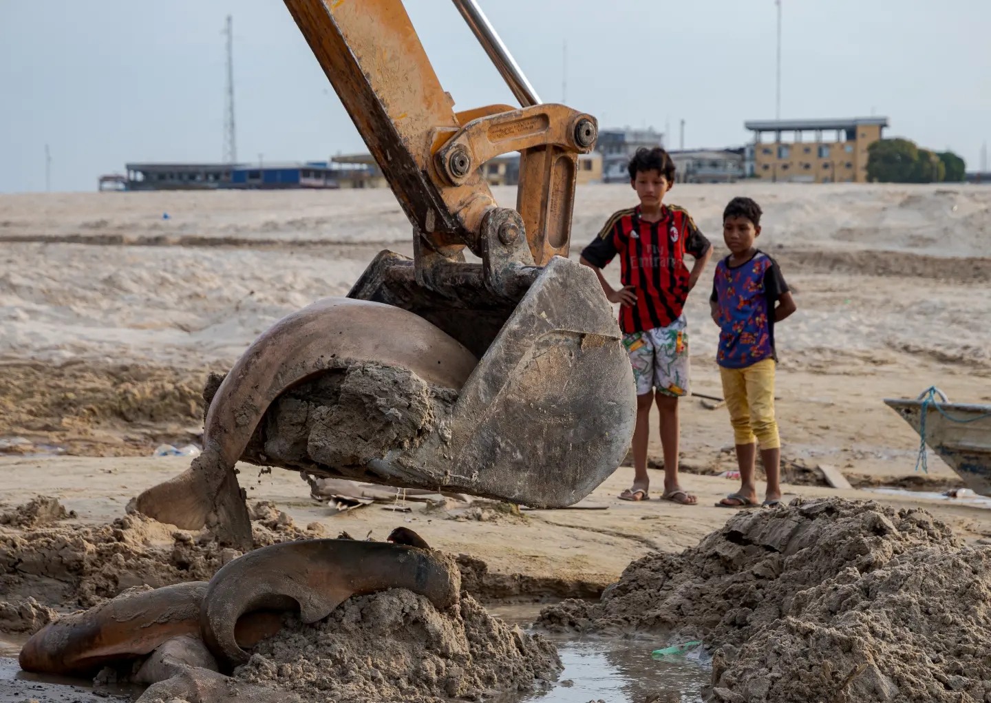 dauphins roses amazonie