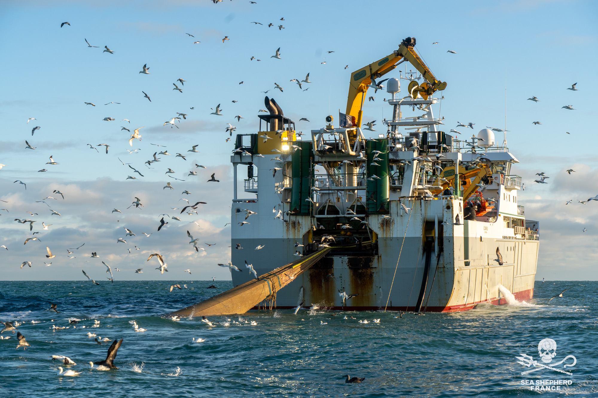 ocean killers navires-usines