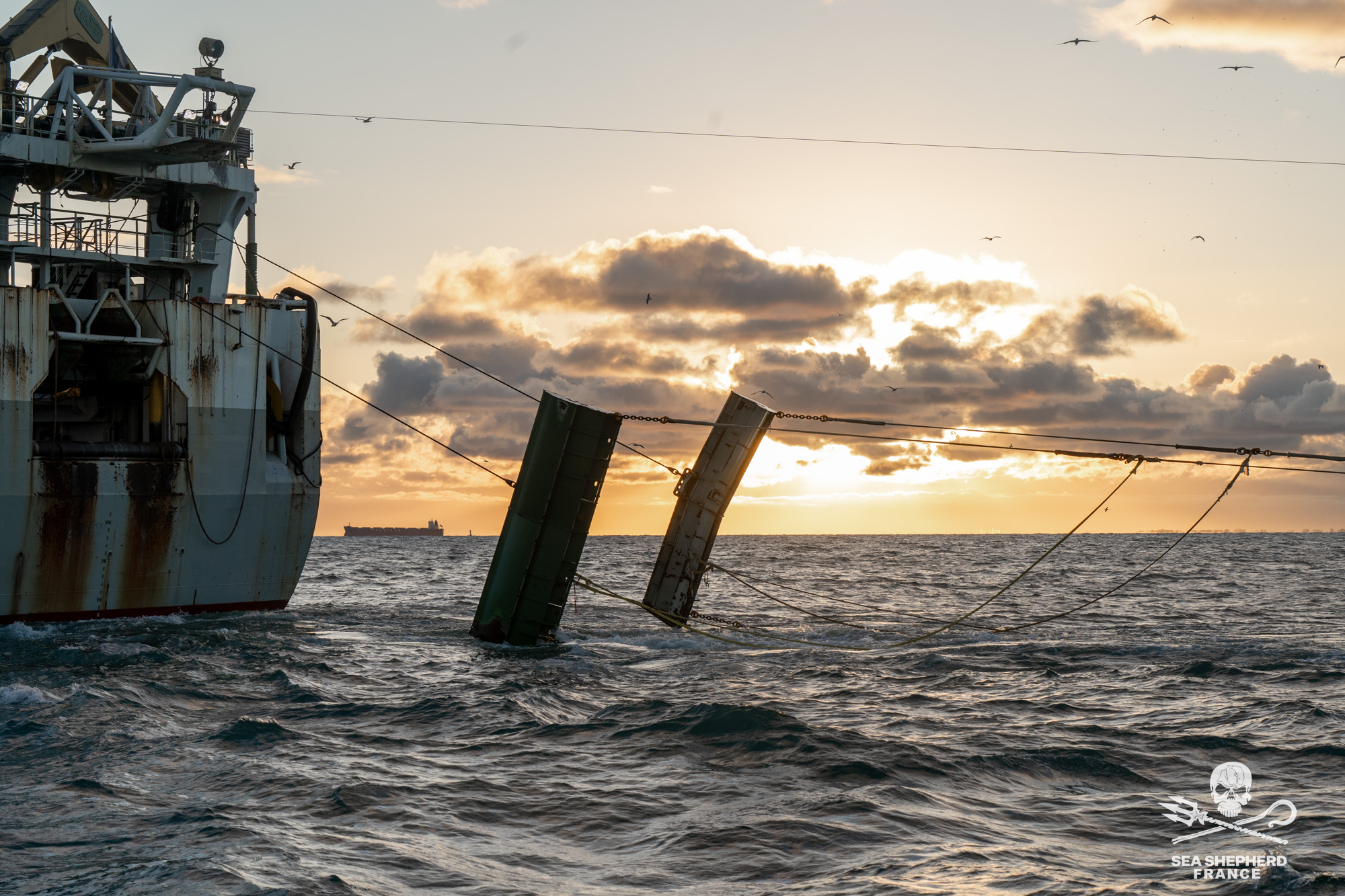 ocean killers navires-usines