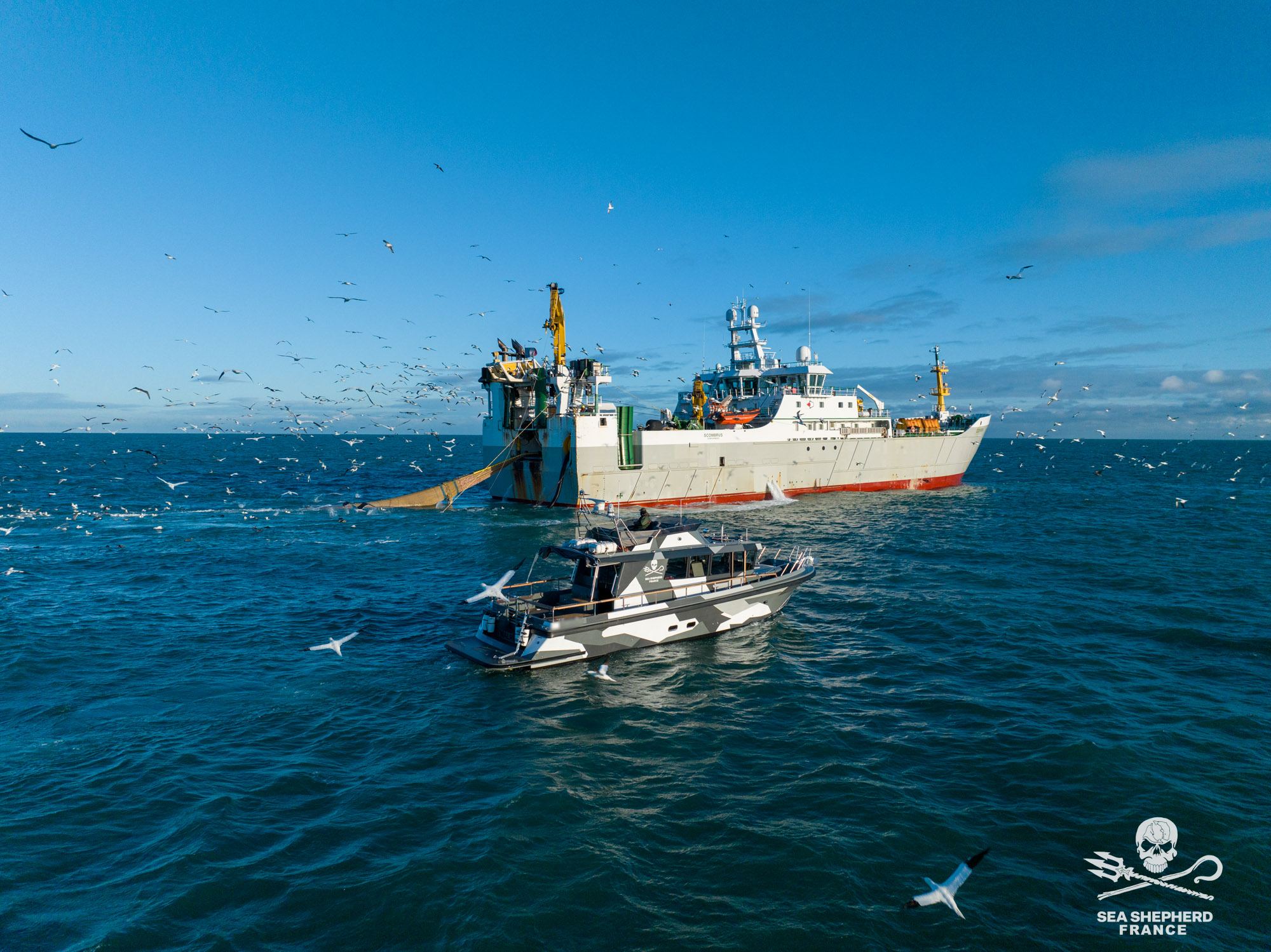 ocean killers navires-usines