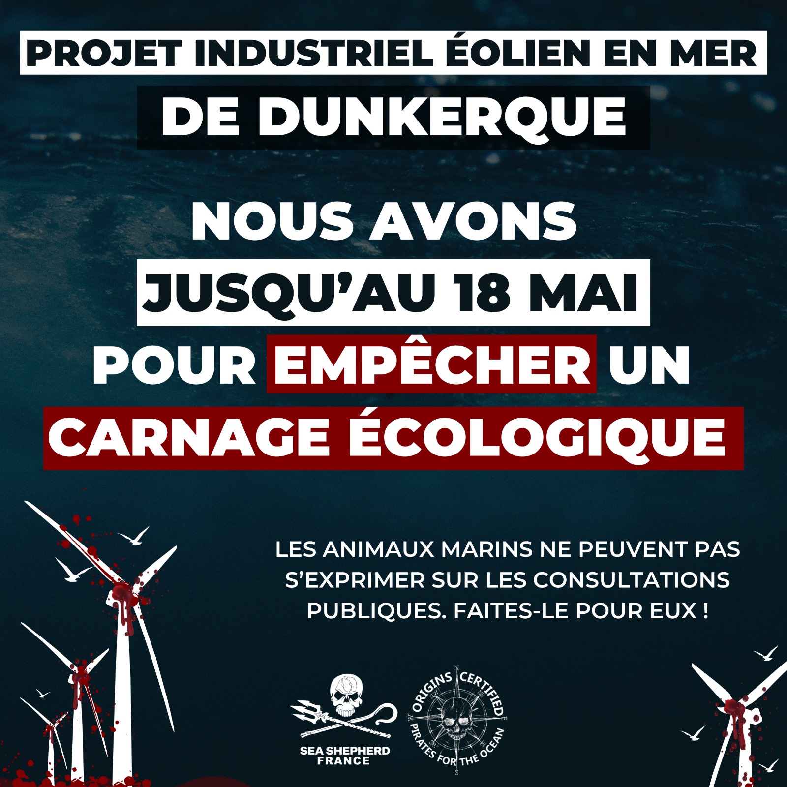 Dunkerque éoliennes consultation publique