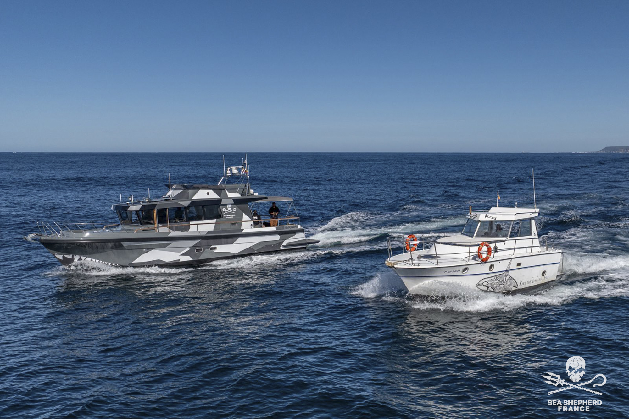 Save the Iberian Orcas Orques Walrus WeWhale