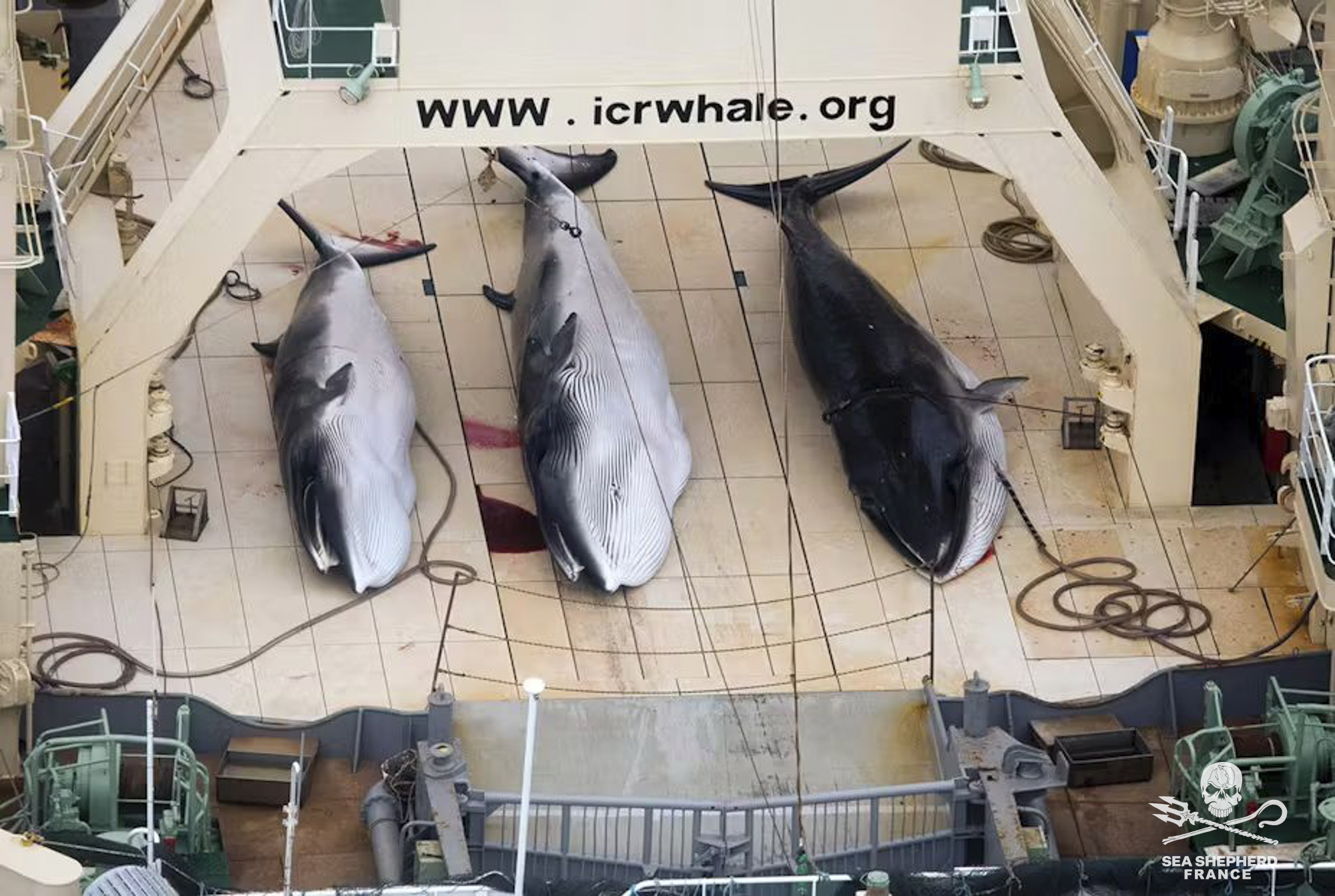 Dunkerque éoliennes consultation publique