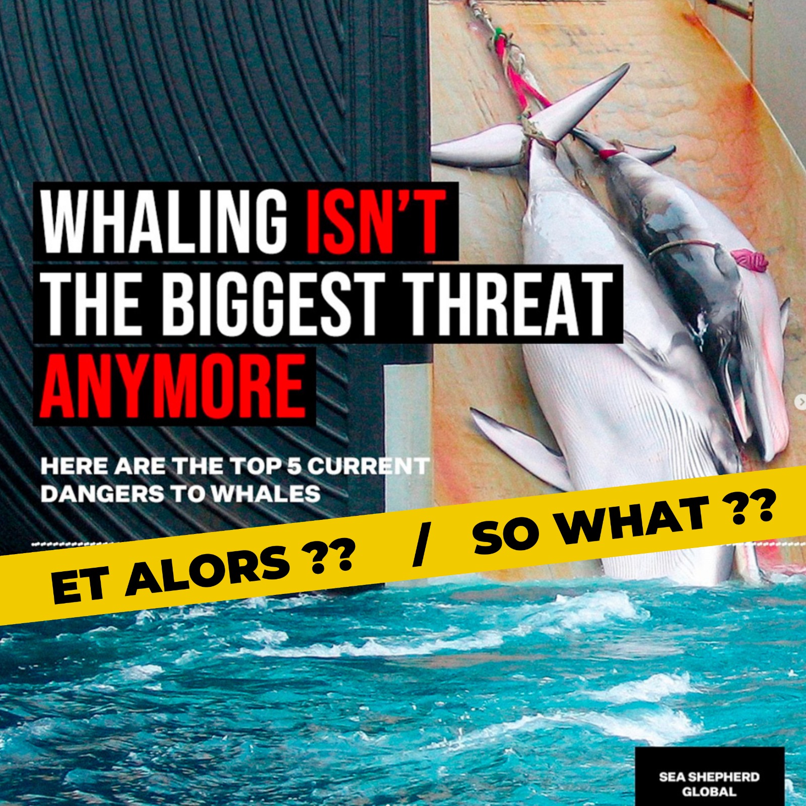 Kangei Maru Global Sea Shepherd Global baleinier japonais