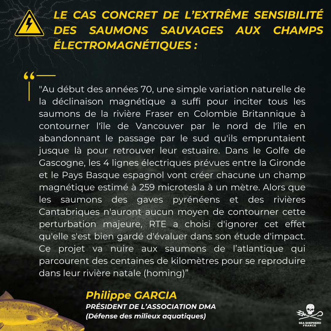 THT Très Haute Tension Interco France Espagne biodiversité réchauffement climatique