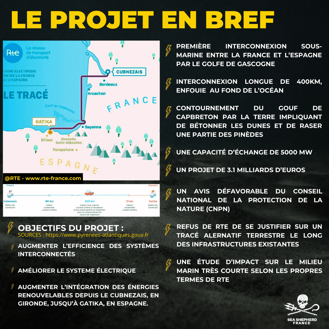 THT Très Haute Tension Interco France Espagne biodiversité réchauffement climatique