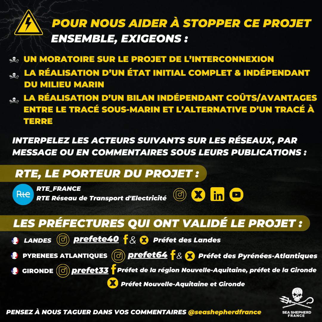 THT Très Haute Tension Interco France Espagne biodiversité réchauffement climatique