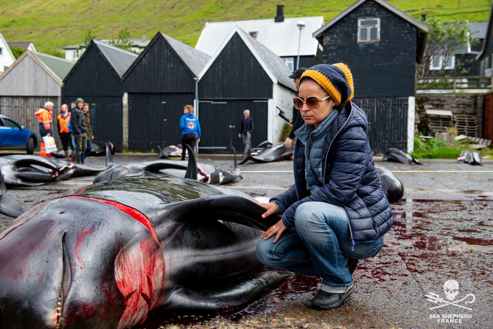 Feroe Grindstop globicéphale