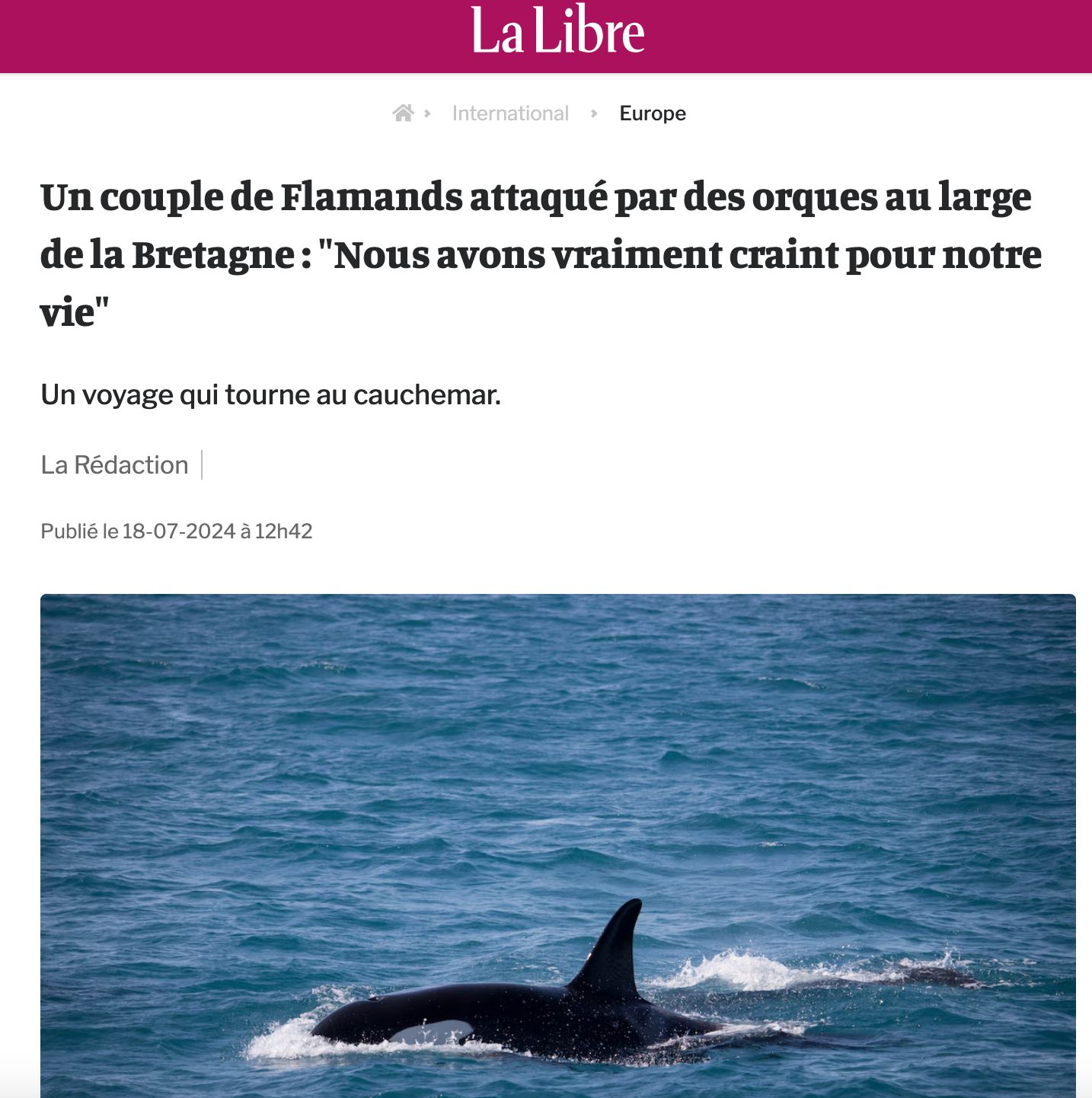 orques attaque racoleur interaction putaclic