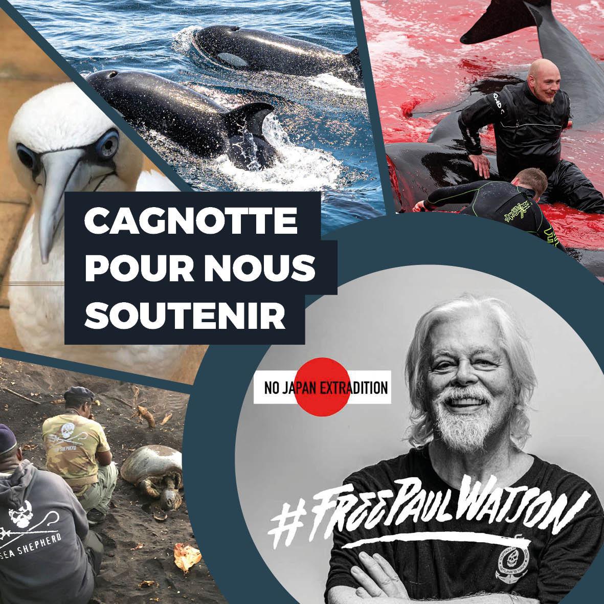 Paul Watson extradition japon cagnotte Lamya Essemlali SS Global