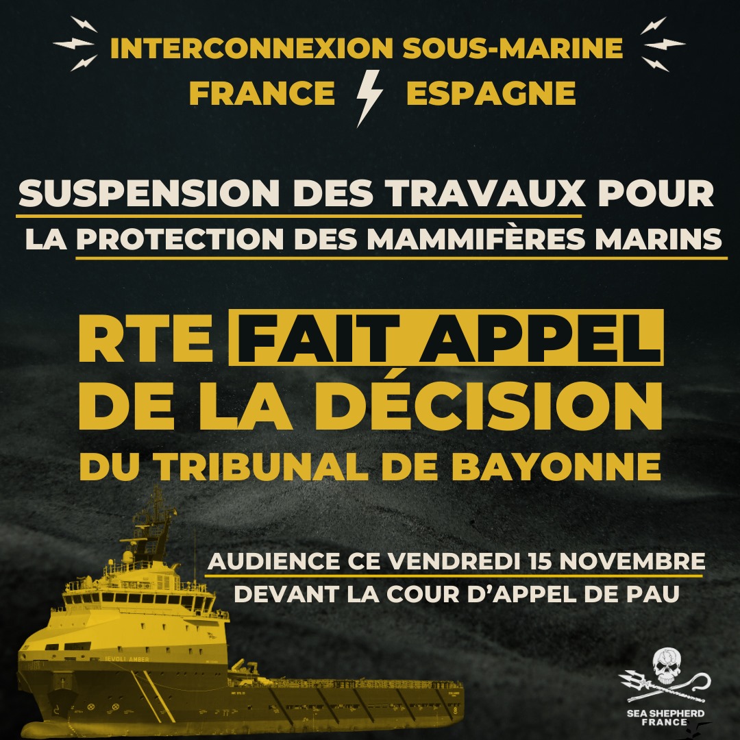 interconnexion france espagne RTE