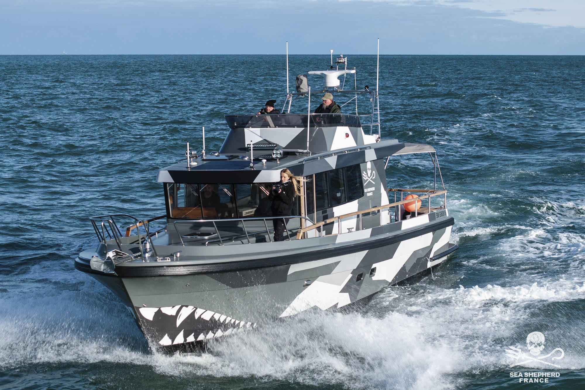 Dunkerque oiseaux mammifères marins éolien offshore