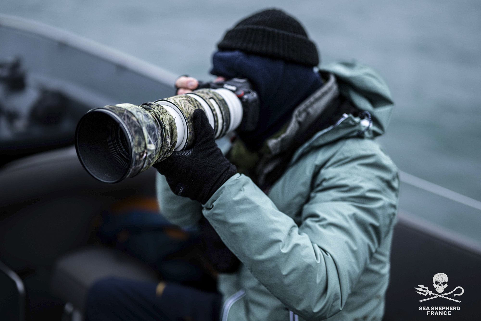 Dunkerque oiseaux mammifères marins éolien offshore