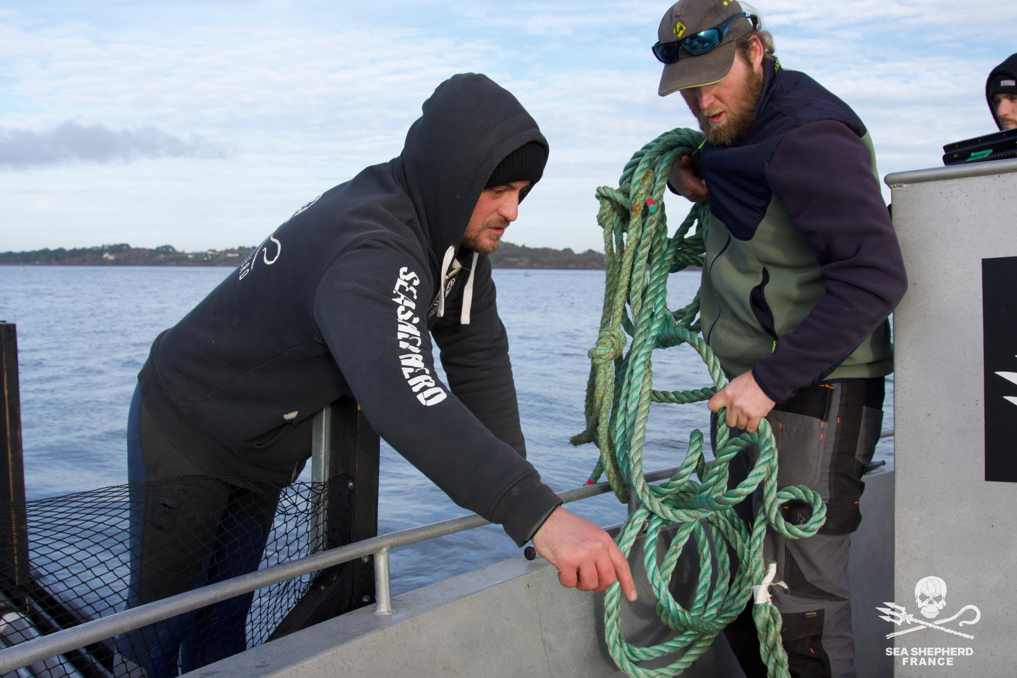 Hopewell sauvetage phoque plateforme cagnotte