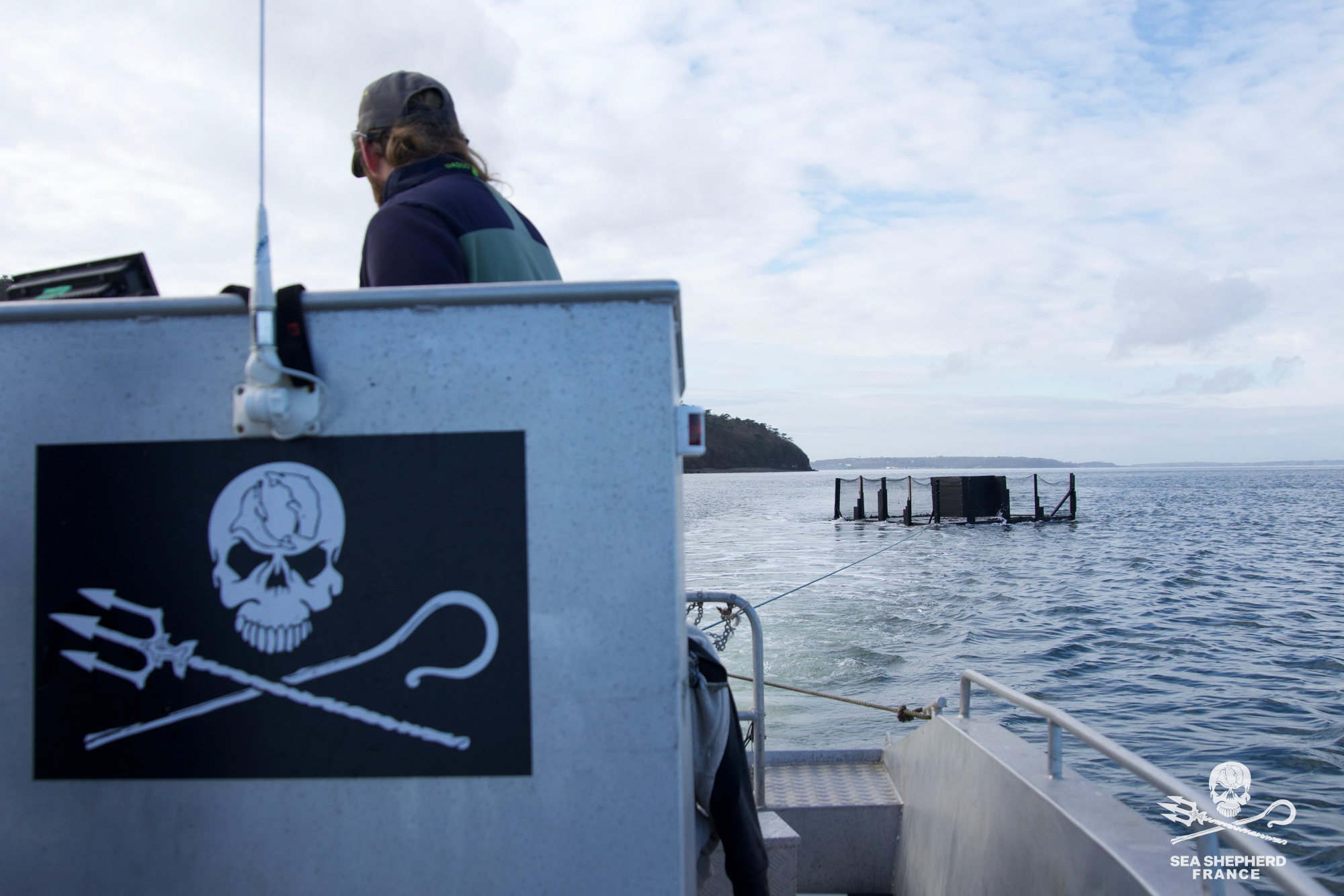 Hopewell sauvetage phoque plateforme cagnotte