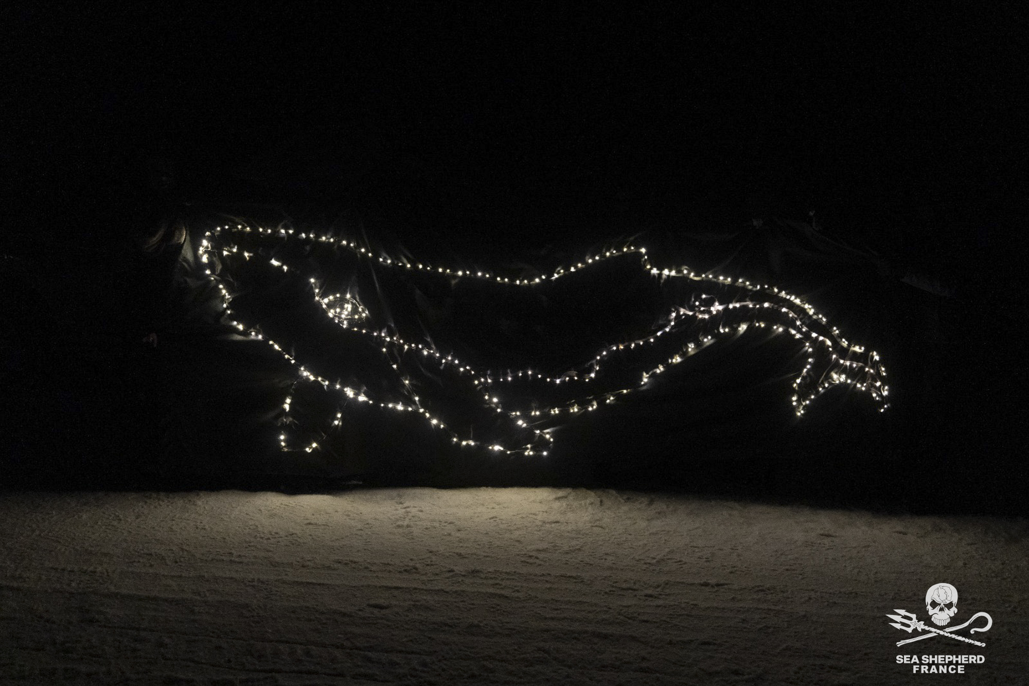 anniversaire Paul Watson aurore boréale Nuuk