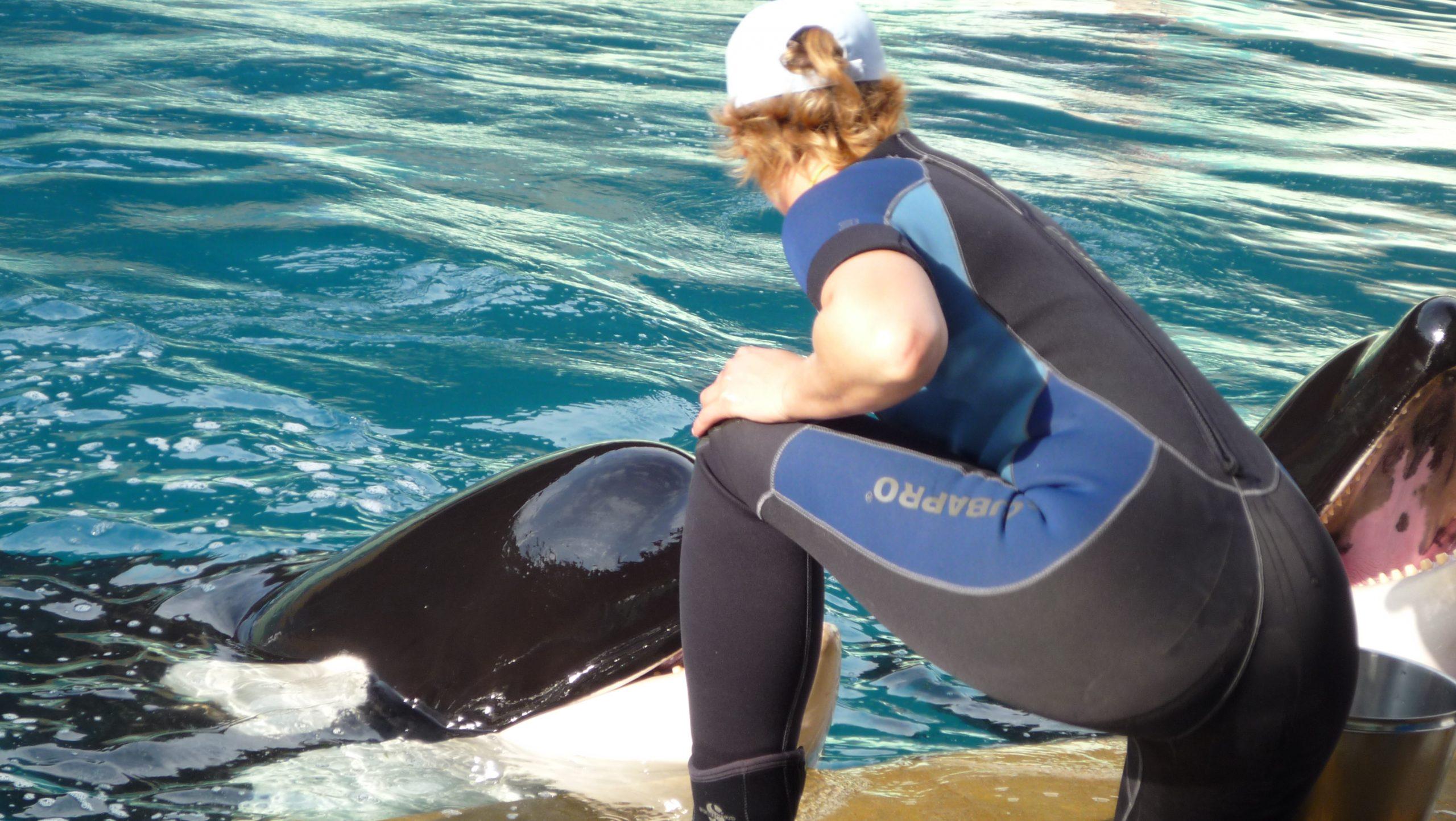 Marineland fermeture bien-être animal sanctuaire maltraitance