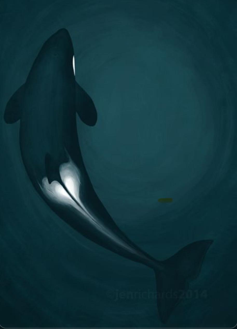 soigneur marineland anti-captivité cétacé