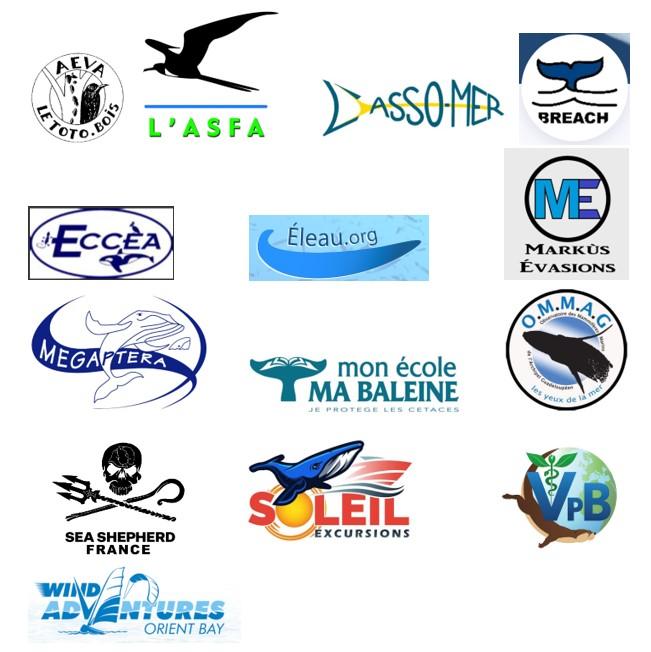 Test sismiques collectifs d'associations antilles cétacés