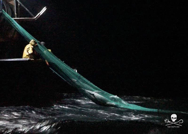 APPEL A LA MOBILISATION - france ong|news- APPEL A LA MOBILISATION - ONG