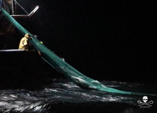 APPEL A LA MOBILISATION - france ong|news- APPEL A LA MOBILISATION - ONG