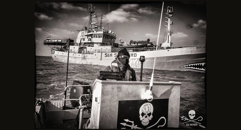 BATEAU DAUPHIN AIDE|France dauphin