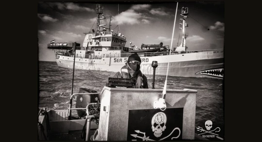 BATEAU DAUPHIN AIDE|France dauphin