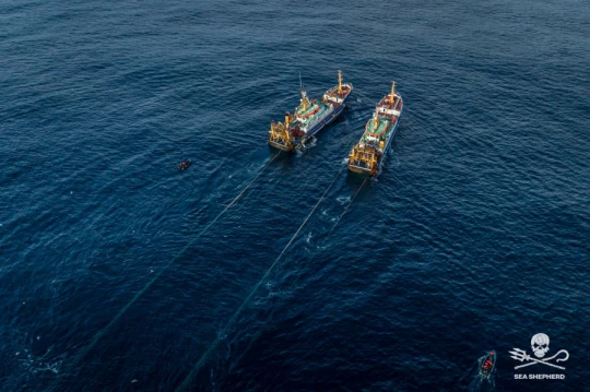 Drone shot Pair Trawlers Wiron sea