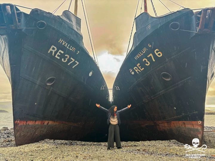 2 baleiniers Islandais coulés par Sea Shepherd en 1986