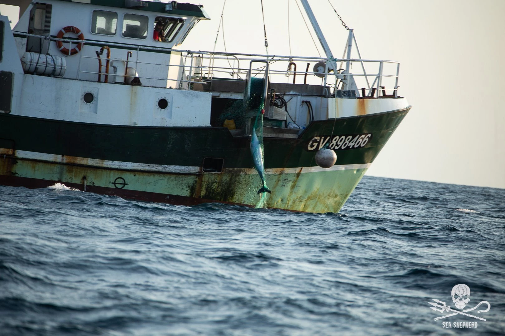 dauphin ocean association ong|dauphin ocean association massacre