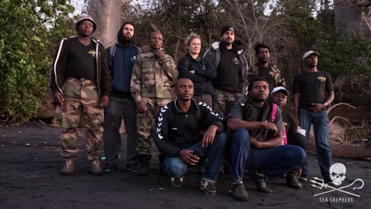 tortue nuit dons association|carapace tortue agression mayotte|tortue nuit dons mayotte horreur|tortue nuit dons mayotte horreur ocean association|tortue nuit dons mayotte horreur ocean association france mer|tortue nuit dons mayotte horreur ocean association france association dons|animaux dons mayotte horreur ocean association France association dons mer