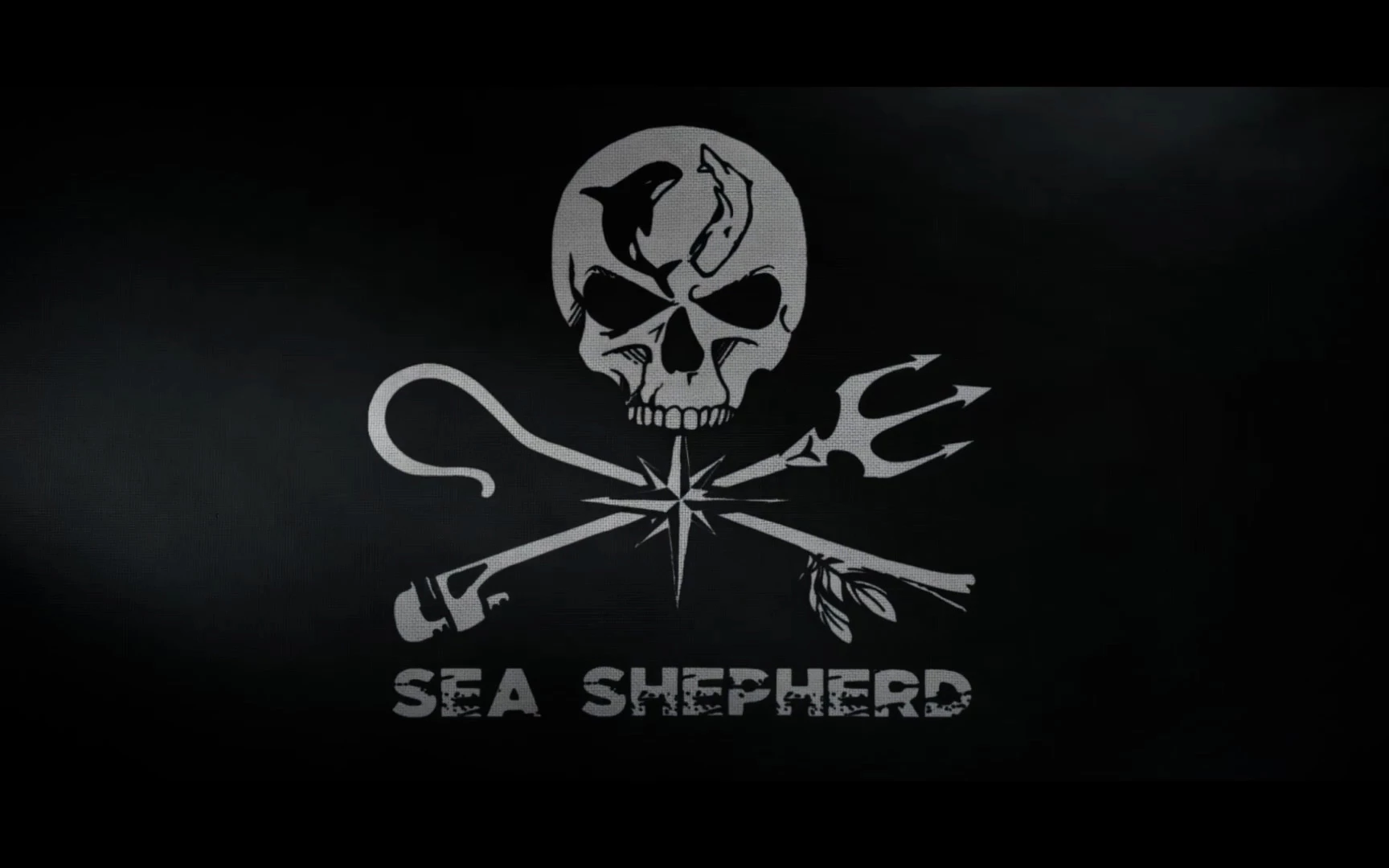 Paul Watson logo origines sea shepherd origins Sea Shepherd Global