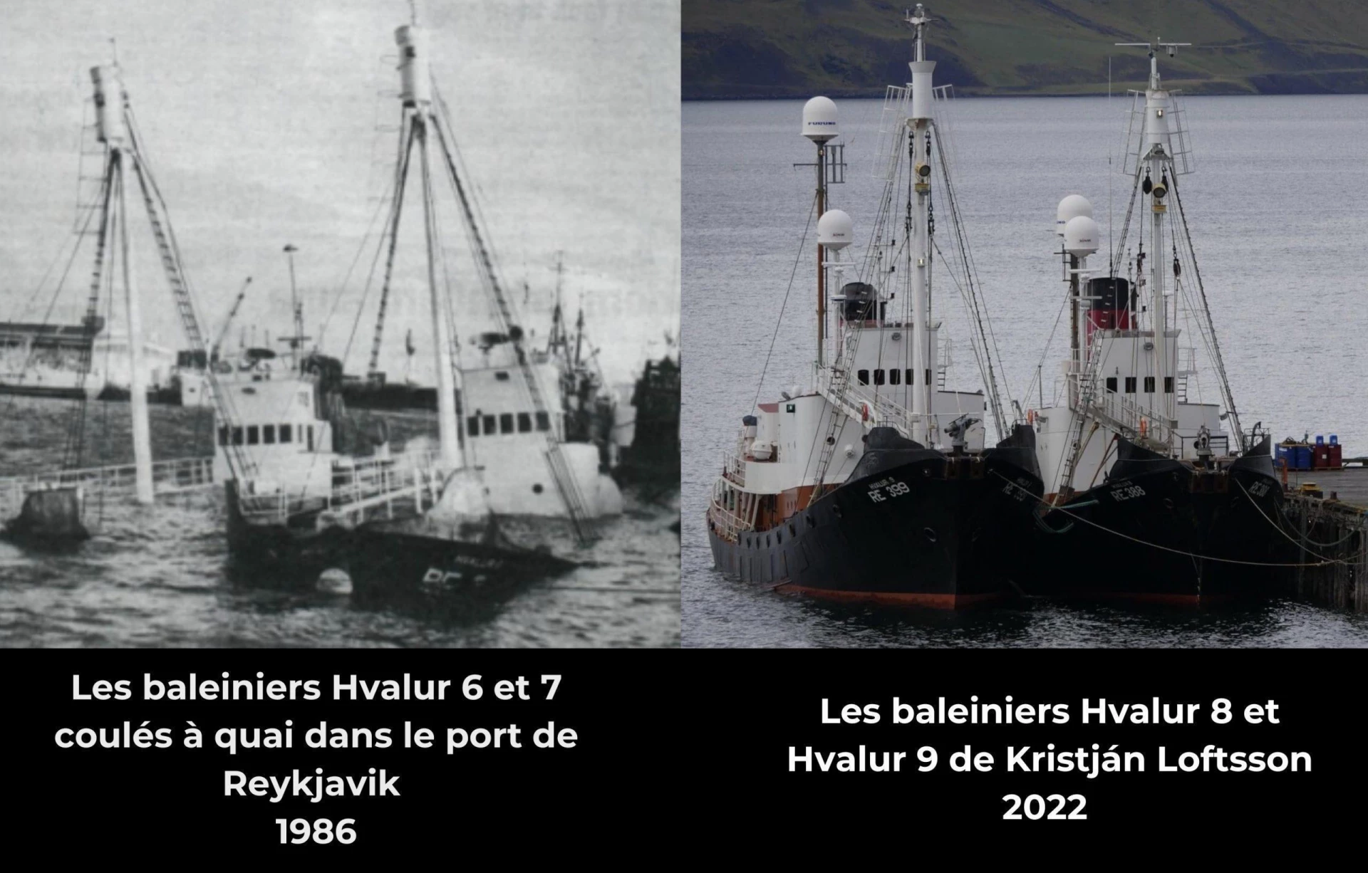 islande chasse à la baleine baleiniers