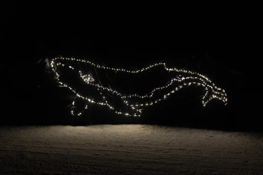 ||||anniversaire Paul Watson aurore boréale Nuuk