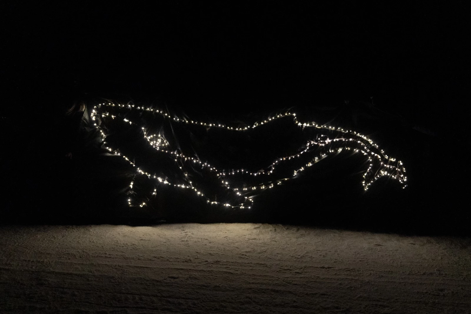 ||||anniversaire Paul Watson aurore boréale Nuuk