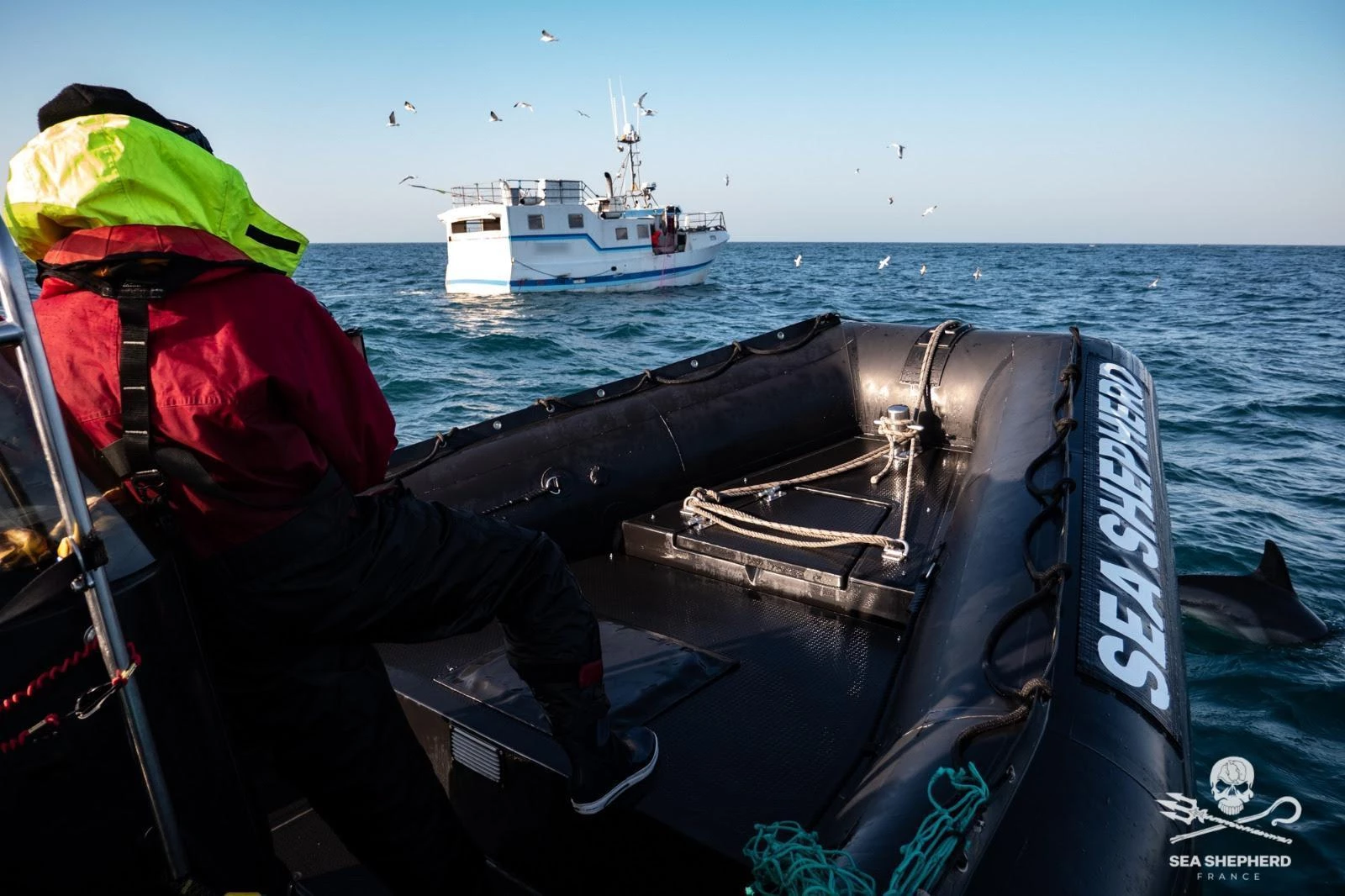 dbc-releves-de-filets|dbc-observation-releves-de-filets