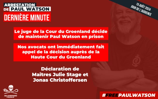 Paul Watson extradition japon Groenland juge prison|Paul Watson extradition japon Groenland juge prison