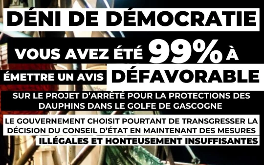 conseil d'état dauphin pêche