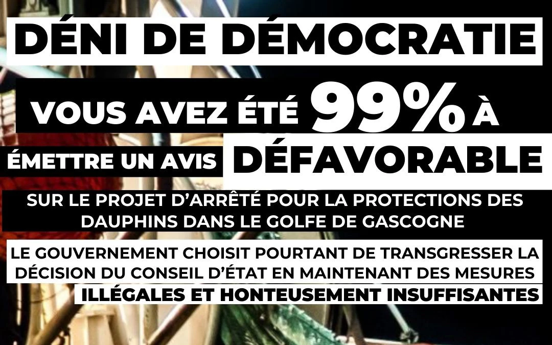 conseil d'état dauphin pêche