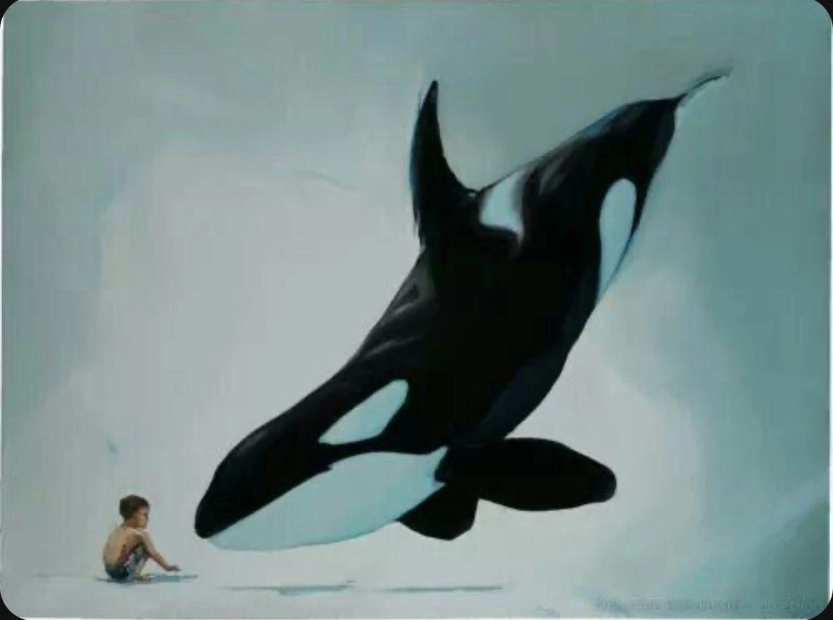 soigneurs marineland anti-captivité cétacés|soigneur marineland anti-captivité cétacé|soigneurs marineland anti-captivité cétacés