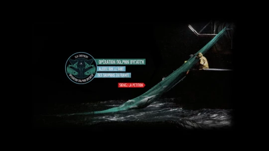 Banniere-Petition-Dolphin-associaition FRANCE